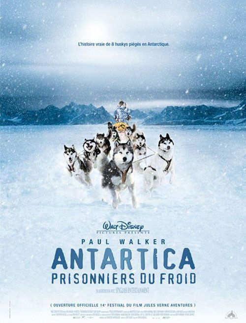 Chiens de Traineaux