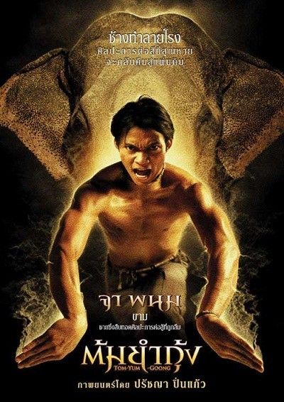 telecharger film tony jaa gratuit