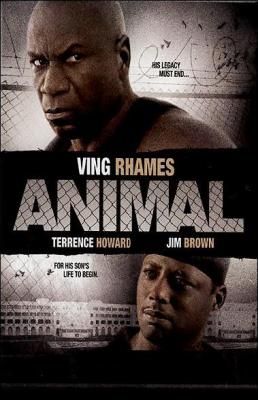 Animal Film